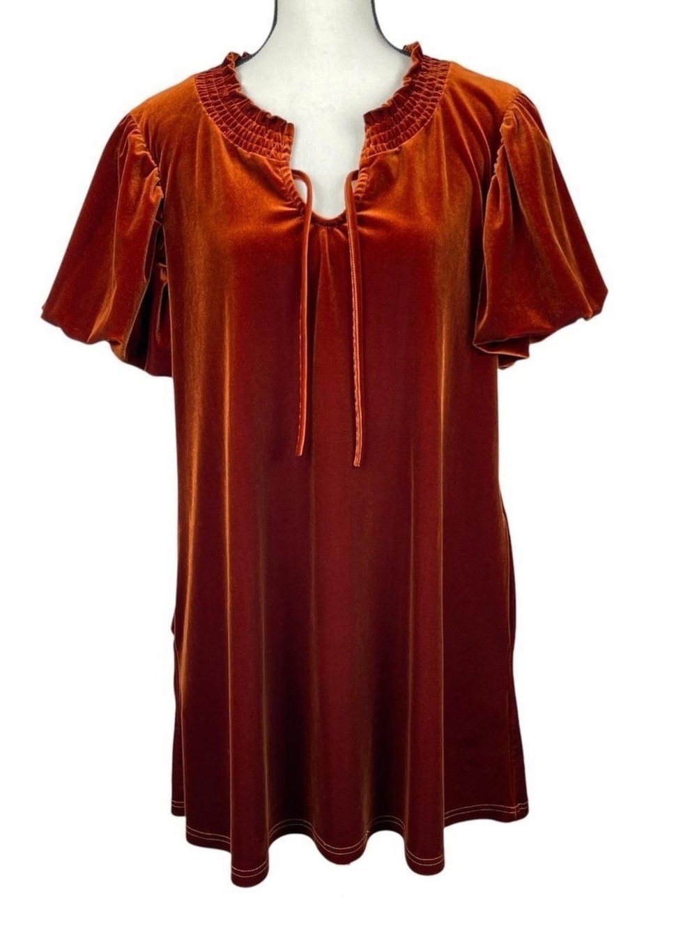 entro Rust Velvet Tie-Neck Tunic/Mini Dress